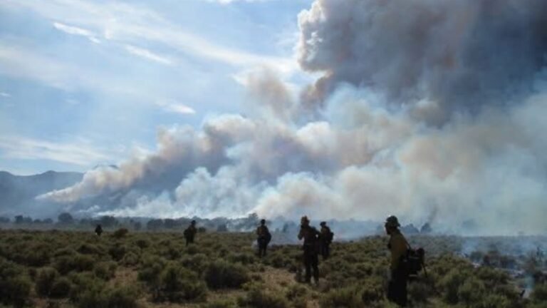 The Goldilocks Conditions for Wildfires