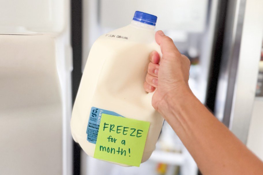 Here’s How You Can Freeze These Dairy Items to Stretch Your Grocery Budget (Includes Eggs, Too!)