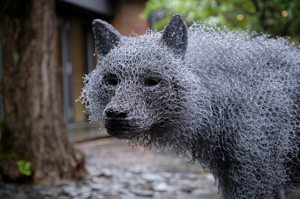 In ‘Big Bad Wolf,’ Sculptor Kendra Haste Contends with Conservation and Rewilding