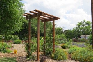 The Recreation of The Raincatcher’s Arbor