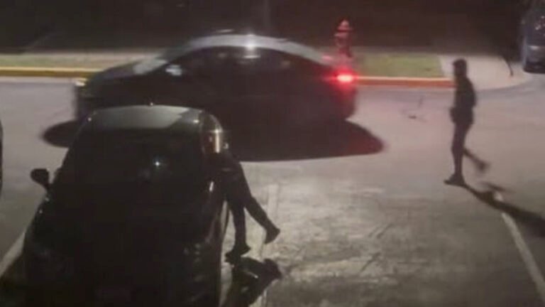 Busy Maryland Teen Allegedly Breaks Into 121 Cars In A Single Night