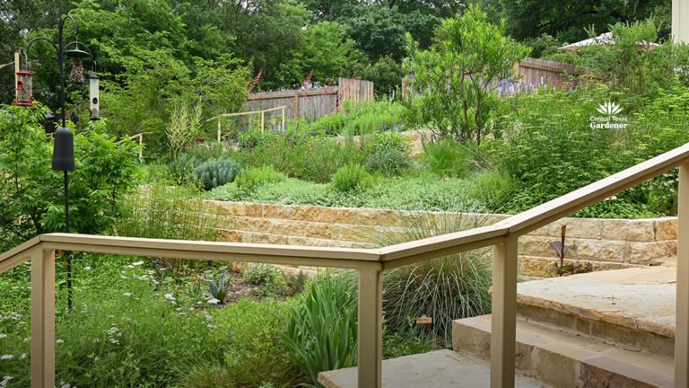 Garden Design: Plant Communities for Wildlife