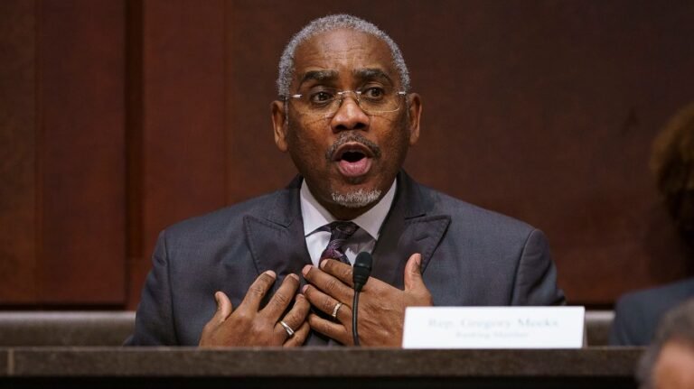 House Democrat: We should be let into ICE facilities
