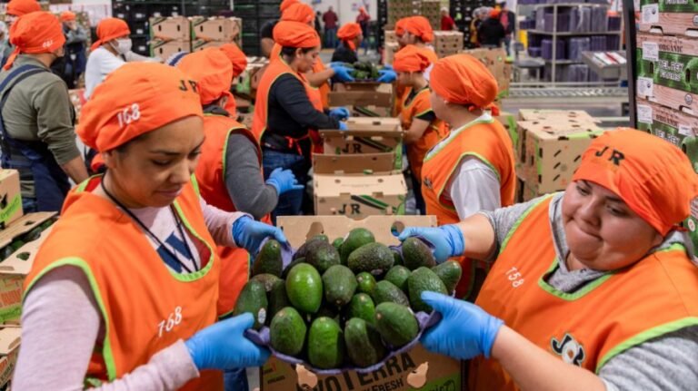 6 top issues to review in US-Mexico-Canada trade