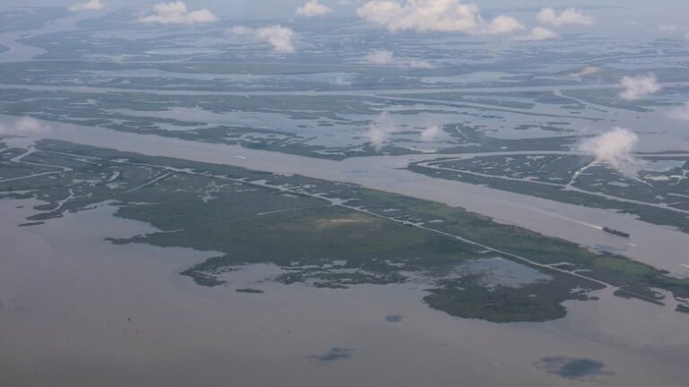 Tracking the Sediment Carried by the Muddy Mississippi