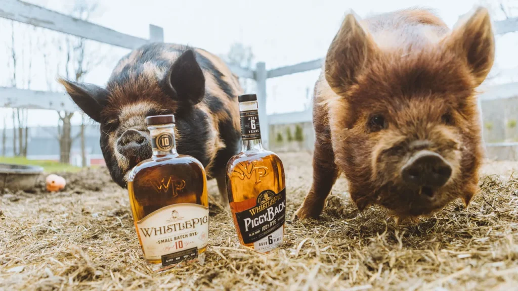WhistlePig Whiskey taps beverage industry veteran Charles Gibb as its new CEO