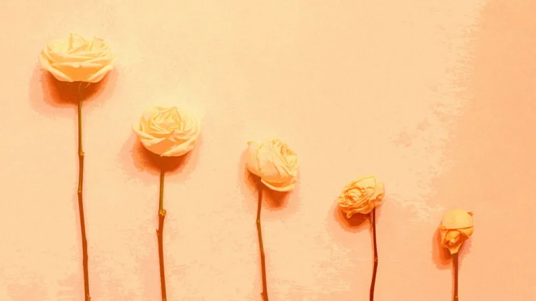 Is your team stagnating? This 5-step plan can help you reinvigorate it