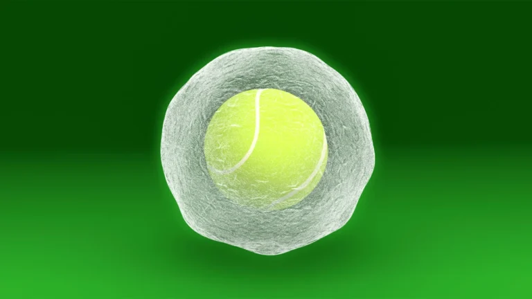 Women’s Tennis Association adopts new rule to protect players during fertility procedures: What to know