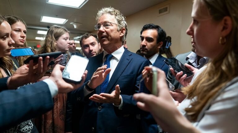 Rand Paul, Mike Lee back Elon Musk over Trump-backed bill: 'We can and must do better'