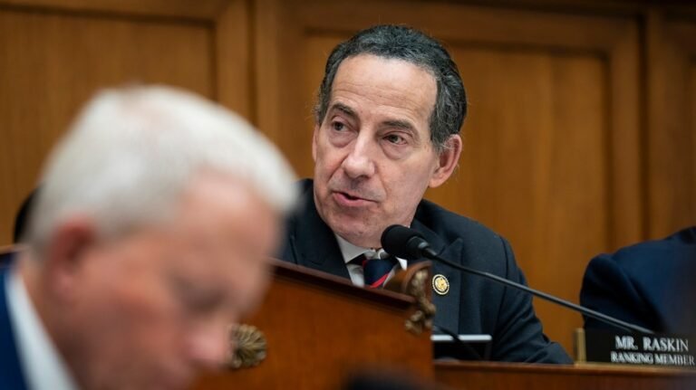Raskin on LGBTQ books ruling: Implications are 'breathtaking'