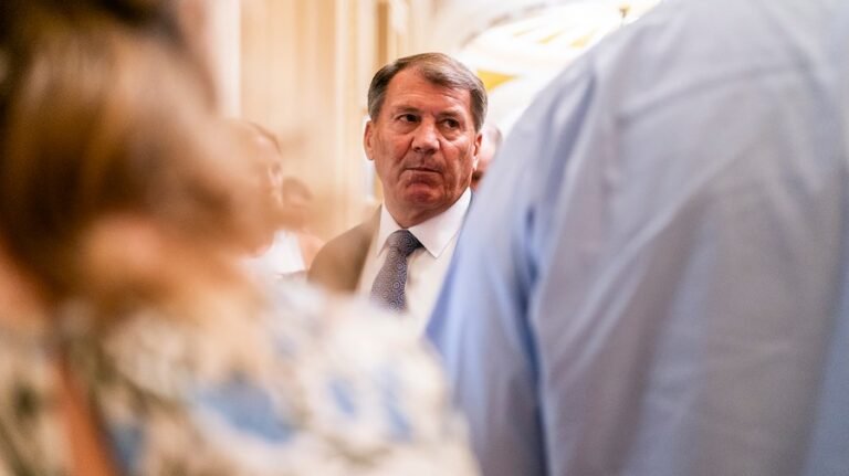GOP senator attempts to assuage Medicaid fears over Trump bill: 'Nobody … wants to hurt people'