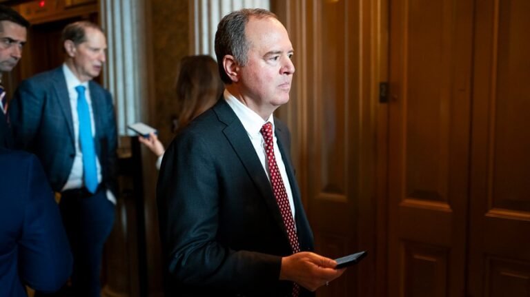 Schiff: Trump 'more than happy' to see violent protests in LA