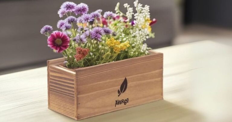 Seed Growing Kits AND Gardening Tools from $15.99 on Amazon