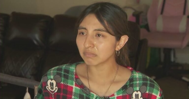 Pregnant US citizen detained by Border Patrol agents: 'We didn't do anything wrong' 