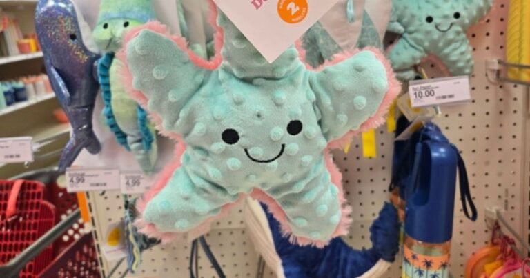 Target Sun Squad Pet Toys & Accessories from $3
