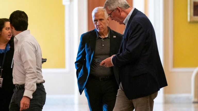 Trump threatens to back Tillis primary challengers after ‘no’ vote on big, beautiful bill