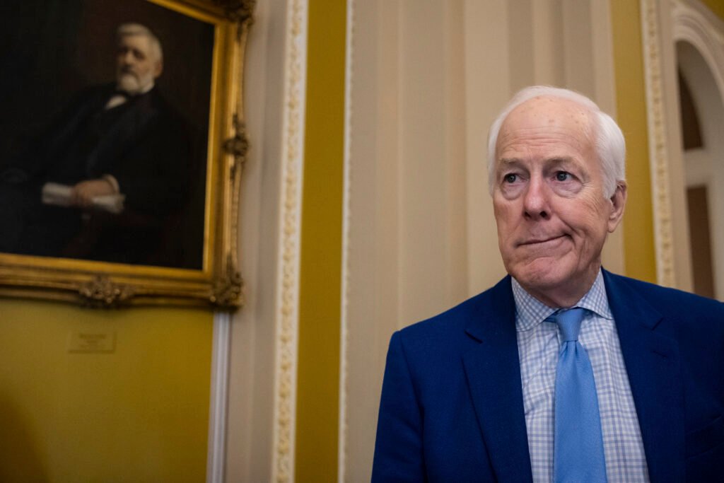 'Trump movement' turns on Cornyn, poll finds