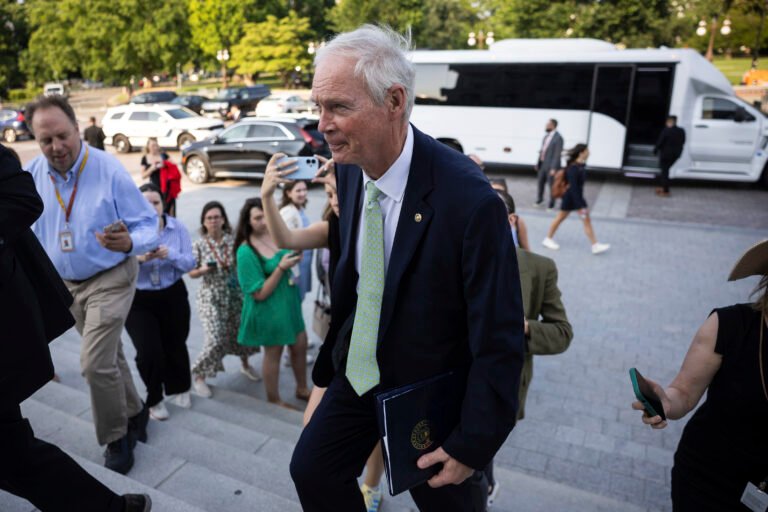 The Senate GOP’s hard-liners are suddenly sounding softer on the megabill