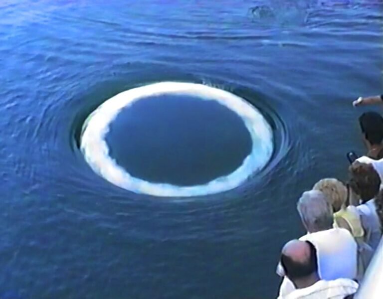 Humpback Whales Are Approaching People to Blow Rings. What Are They Trying to Say?