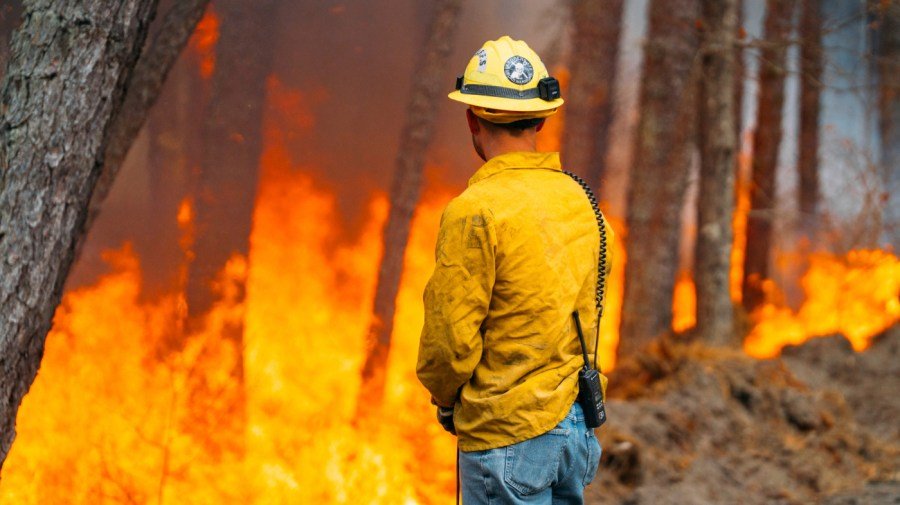 Exposure to wildfire smoke may negatively impact birth outcomes: Study