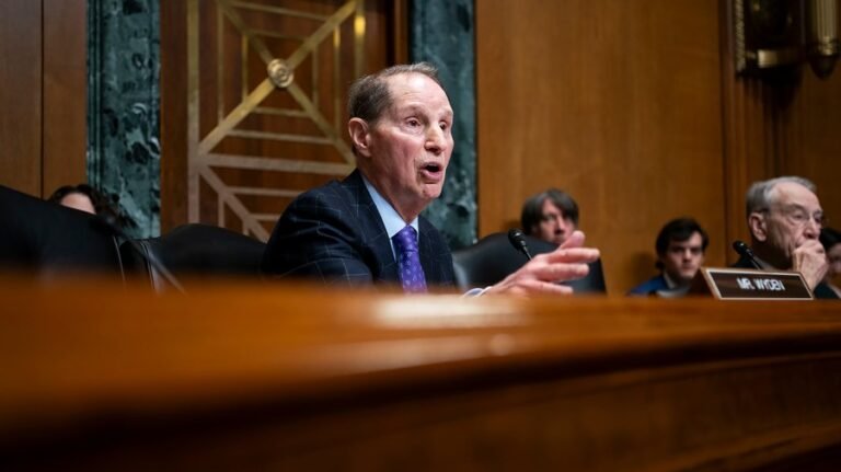 Senate Democrat: GOP budget math 'as fake as Donald Trump’s tan'