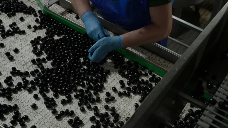Spain’s major export item is struggling under fresh tariffs from Trump