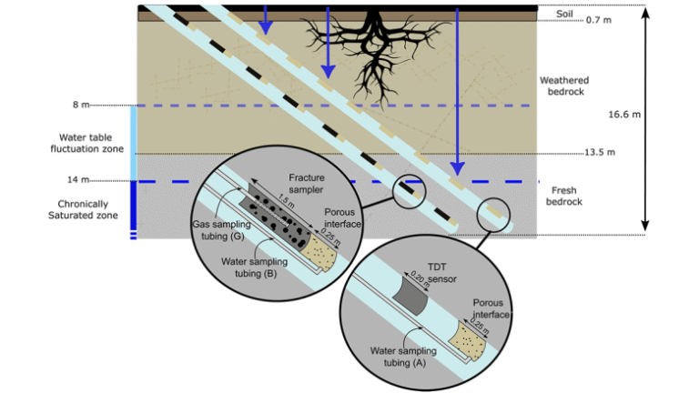 Deep Root Respiration Helps Break Down Rocks