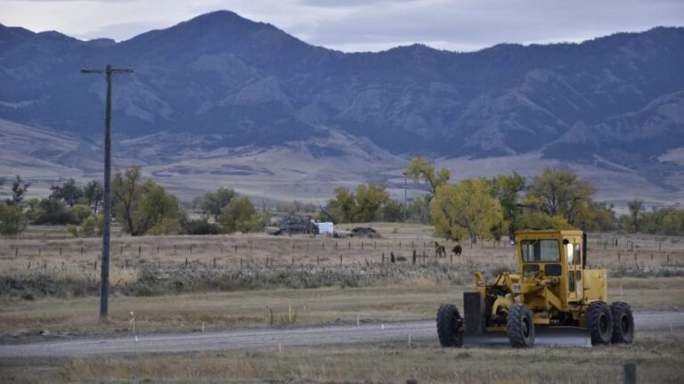 Scientists use AI to battle invasive species costing ranchers $35M