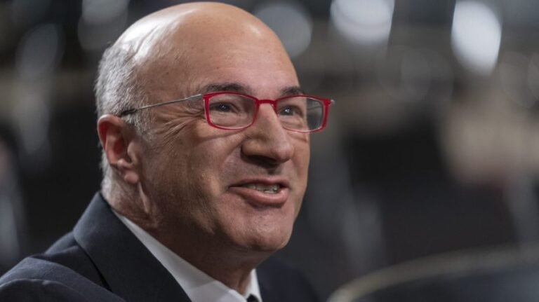 O'Leary: Tariff rebate checks 'a bad idea'