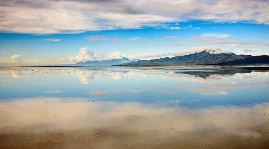 DC, take note: Voluntary conservation is the answer to America’s environmental woes