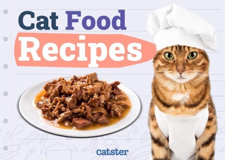 5 Homemade Cat Food Recipes (Vet Approved)