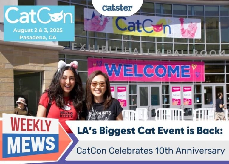 LA’s Biggest Cat Event is Back: CatCon Celebrates 10th Anniversary