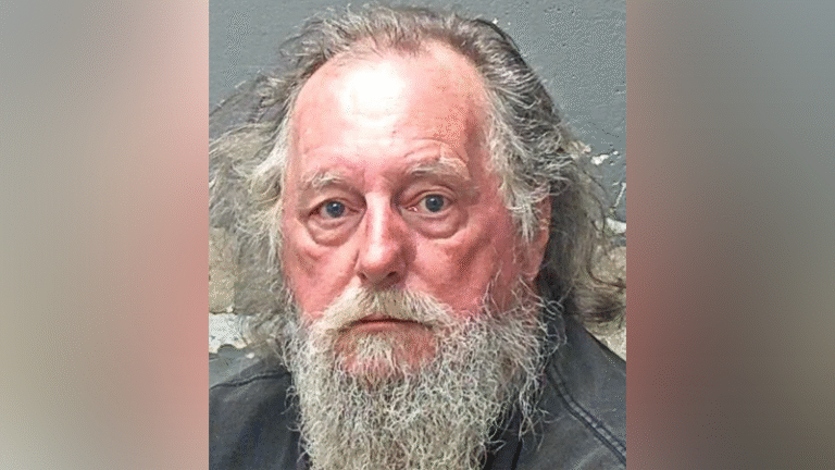 Texas man admits to killing missing American Airlines flight attendant: Investigators