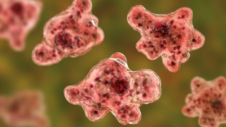Brain-eating amoeba: Who is most often infected?