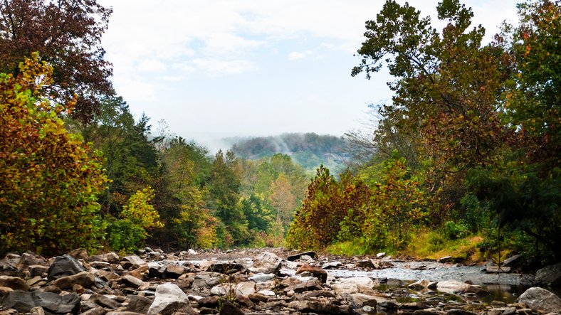 2 found dead at Arkansas state park; suspect at large: Police