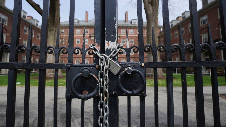 Harvard’s $500 million surrender to Trump heralds an end to US academic freedoms 