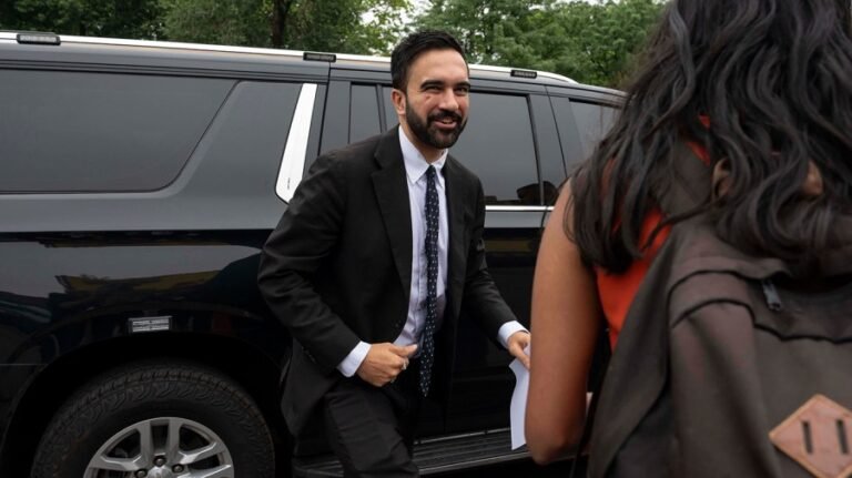 Dems grapple with where Mamdani fits in party's rebuild