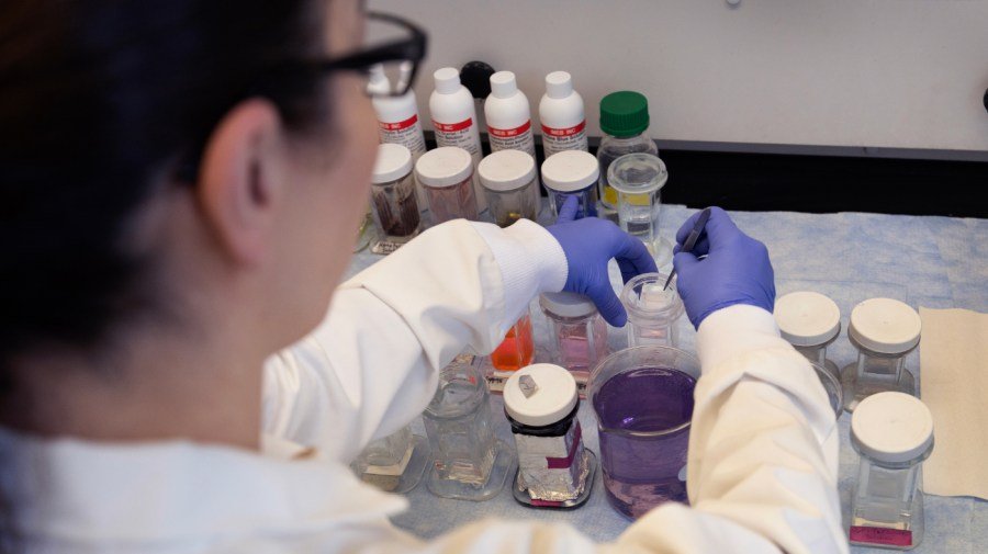 Views from the front lines of Trump's war on the science community