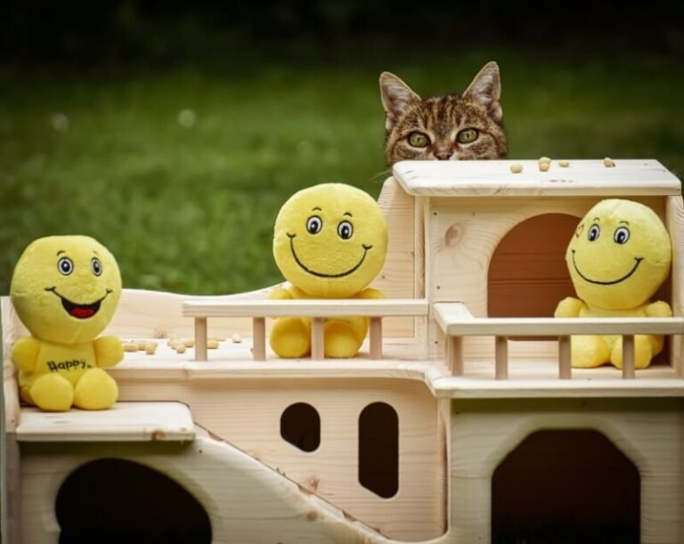 10 Best Outdoor Cat Houses of 2025 – Reviews & Top Picks