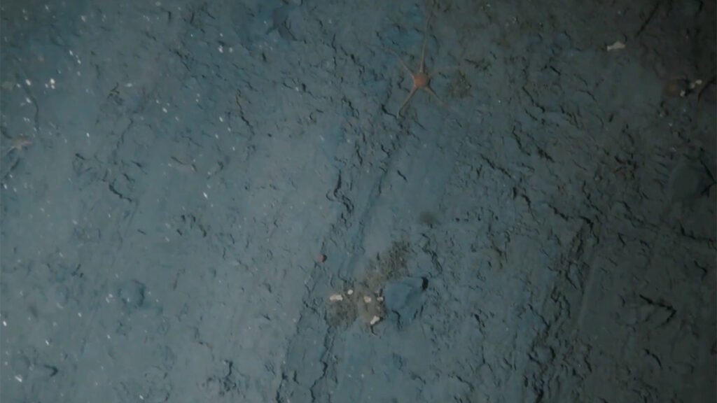 Anchoring Is Damaging the Fragile Antarctic Seabed