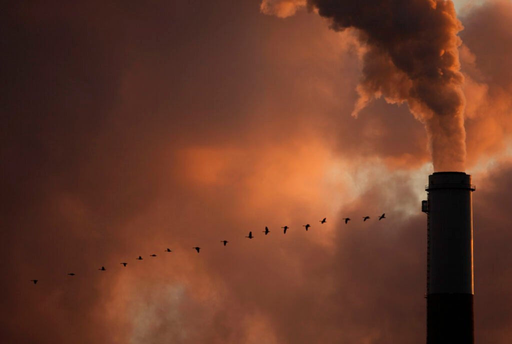 Trump’s latest plan to undo the ‘holy grail’ of climate rules: Never mind the science