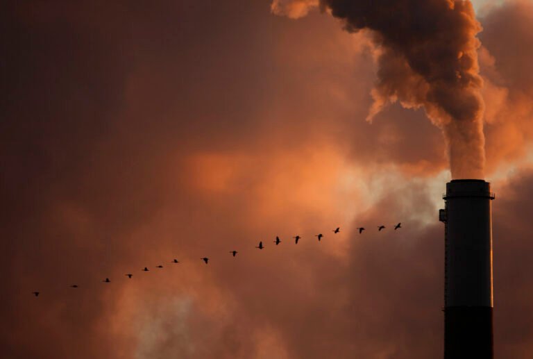 Trump’s latest plan to undo the ‘holy grail’ of climate rules: Never mind the science