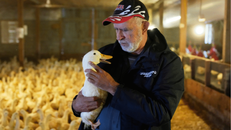 Bird Flu is far from over: Why the worst could be yet to come