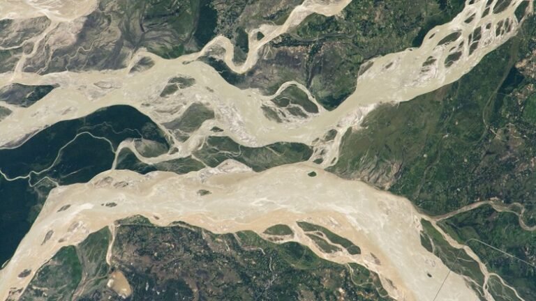 Coherent, Not Chaotic, Migration in the Brahmaputra-Jamuna River