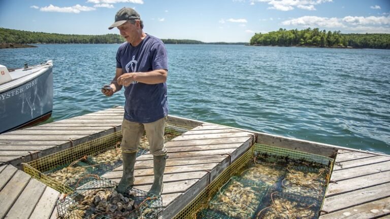 Warming Gulf of Maine Buffers Ocean Acidification—For Now