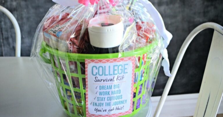 Easy Dollar Tree College Survival Kit – Affordable & Practical Gift Idea!