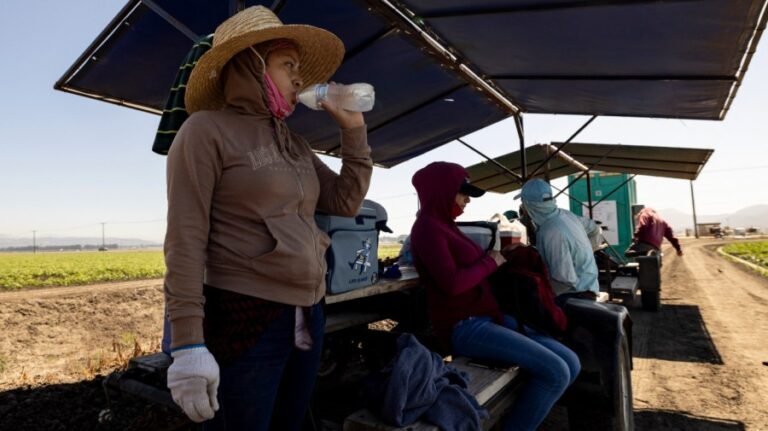 Protecting workers from extreme heat is the only humane approach
