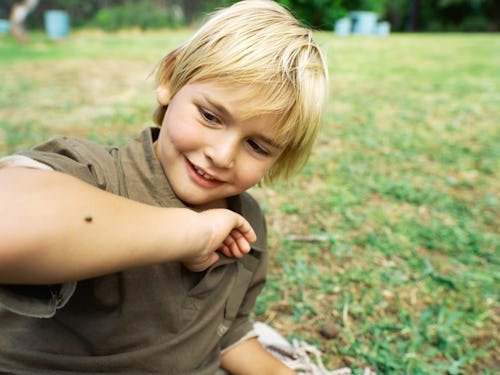 ER Visits For Tick Bites Surge, CDC Confirms