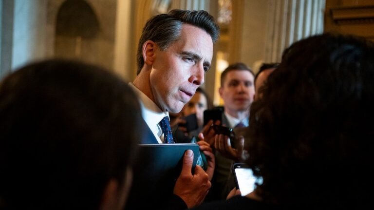 Hawley had 'good chat' with Trump after stock trading ban beef