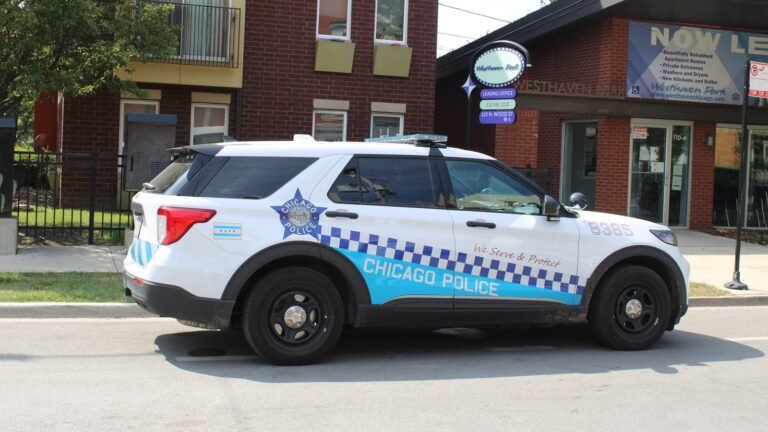 Chicago Cops Run Stop Sign, Cause Crash, Charge The Person They Hit